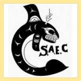logo-SAEC